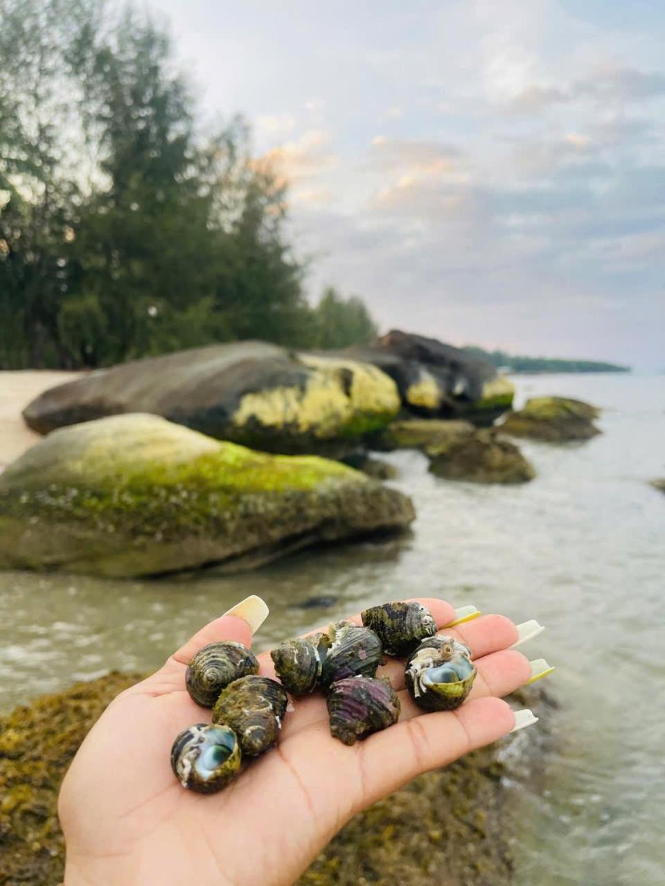 Bai Thom Retreat Nhà ở miền quê Phú Quốc